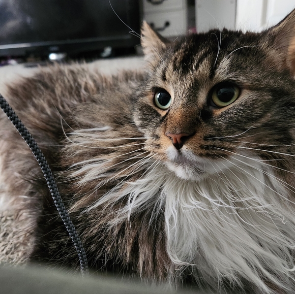 Intention jars - Picture 9 of 17